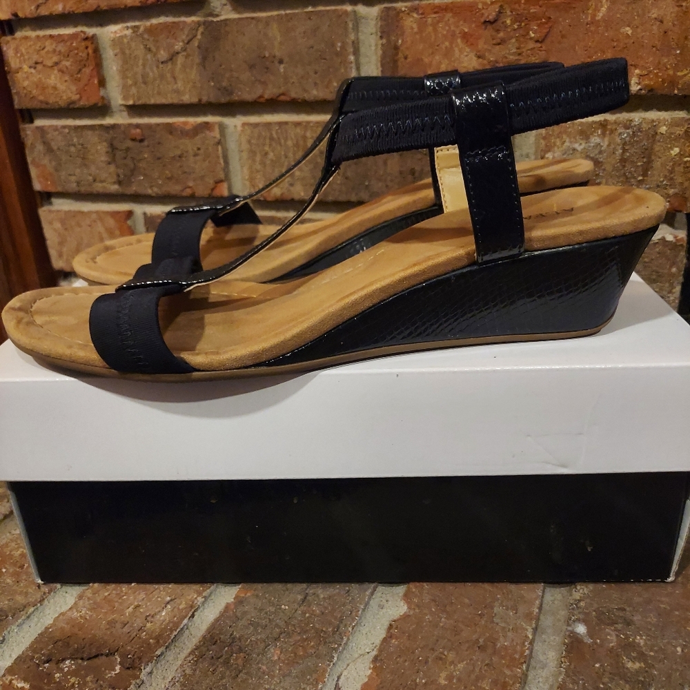 Alfani Navy Blue Sandals